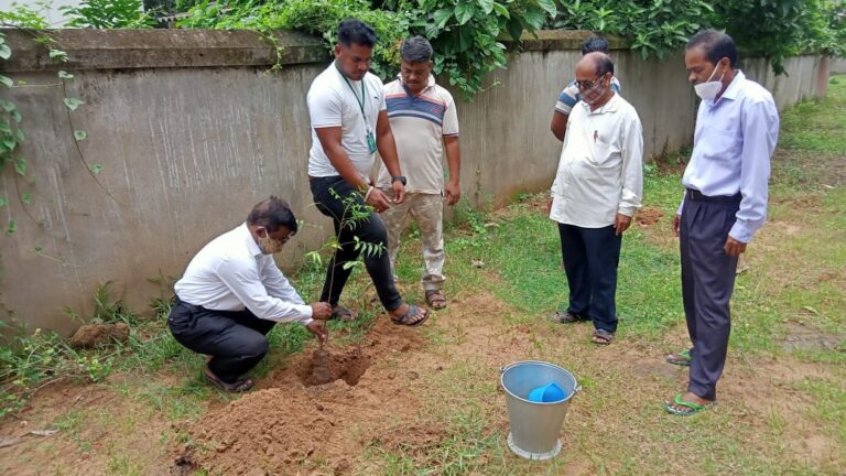 ନରାଜ ପରମହଂସ ବିଦ୍ୟାପିଠ ରେ ବୃକ୍ଷରୋପଣ କାର୍ଯ୍ୟକ୍ରମ